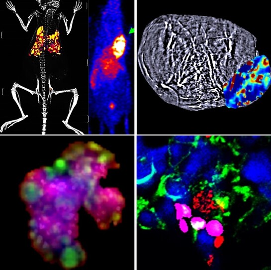  Molecular Imaging