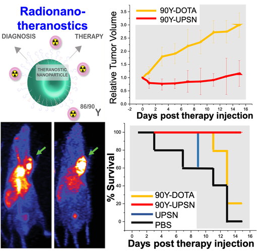  Theranostics