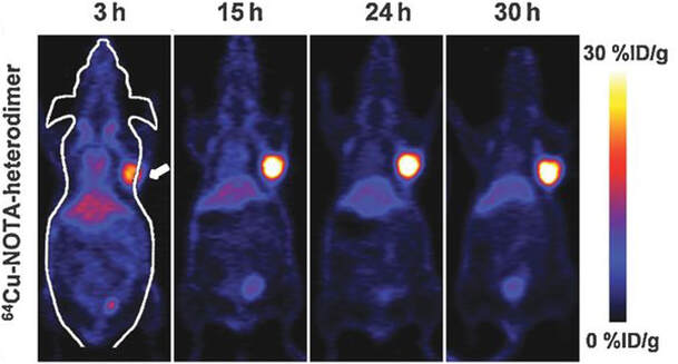  Novel Therapeutics
